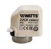 Watts