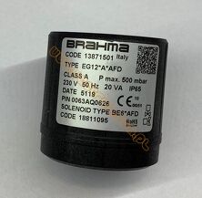 Brahma BE6*AFD cewka do zaworu 13871501