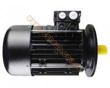 Riello RS / RL 190 - silnik Lafert AMPE 100L / A2  4,5kW